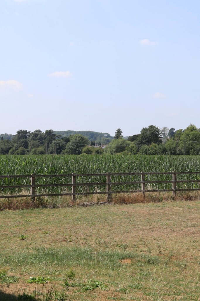 Historic Bulcote farm begins new chapter with our successful show home launch - Woodall Homes