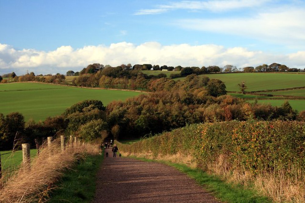 Best Walks in Derbyshire: Countryside Routes Near Bolsover and Chesterfield - Woodall Homes