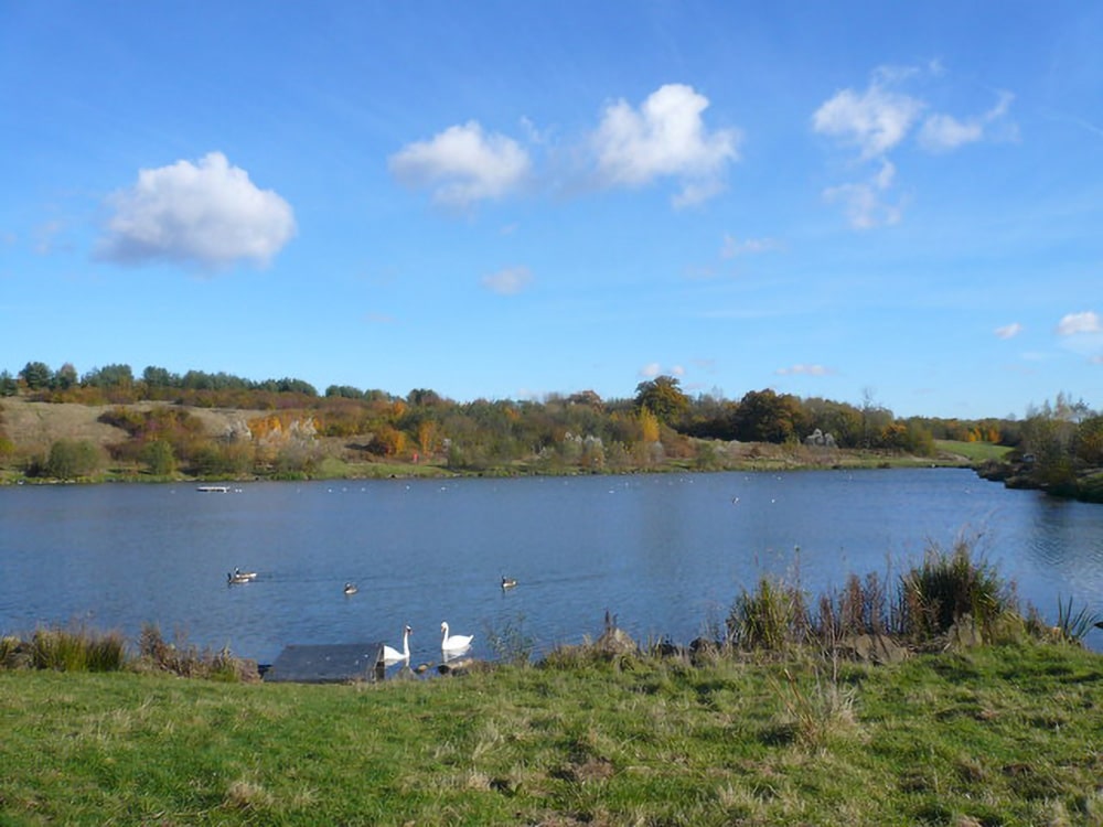 Best Walks in Derbyshire: Countryside Routes Near Bolsover and Chesterfield - Woodall Homes