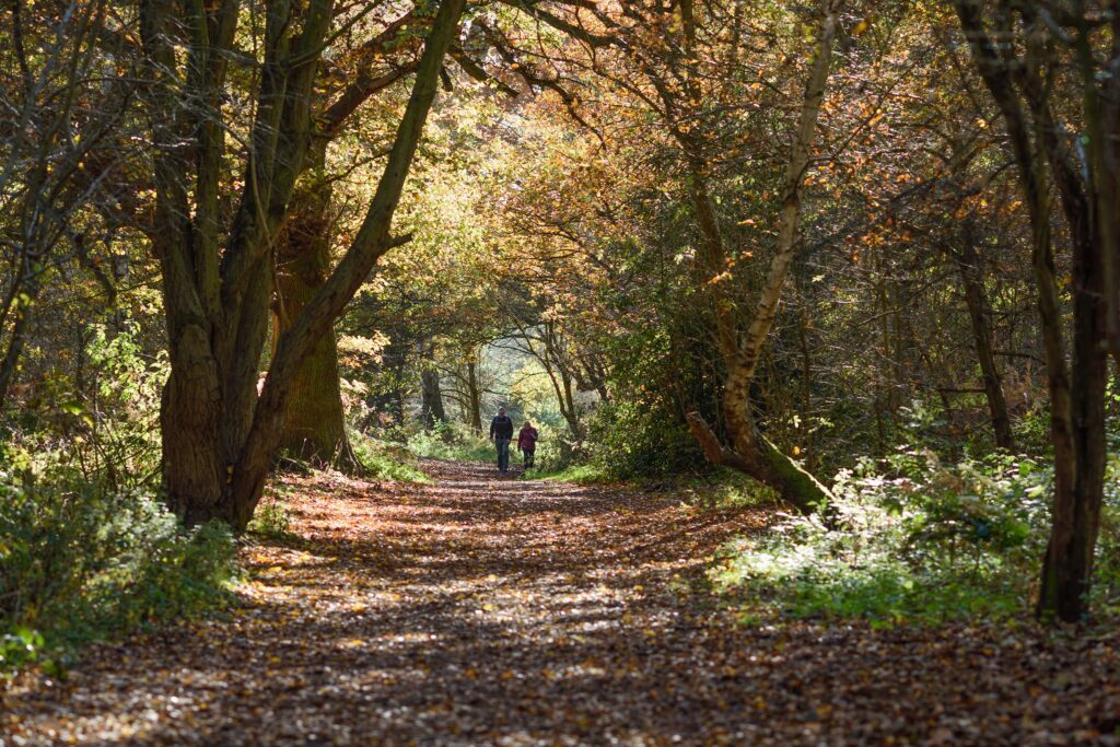 Moving to Nottinghamshire: Could This Be Your Next Chapter? - Woodall Homes